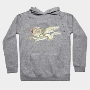 Spring Woodland Fairy Hoodie